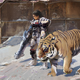 Illustration for article titled The Return Of Space Tiger
